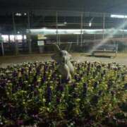 ヒメ日記 2026/02/23 12:11 投稿 まなみ 西船人妻花壇