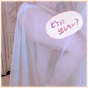 ヒメ日記 2025/06/25 11:47 投稿 るな 西船人妻花壇