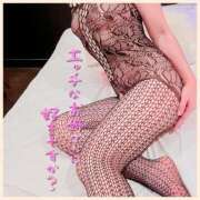 ヒメ日記 2025/11/09 08:37 投稿 るな 西船人妻花壇