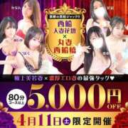 ヒメ日記 2026/04/11 16:13 投稿 るな 西船人妻花壇