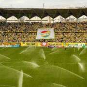 りあな ちんぽ 西船人妻花壇