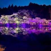 ヒメ日記 2026/04/01 14:05 投稿 りあな 西船人妻花壇