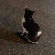 ヒメ日記 2025/02/27 23:01 投稿 もか 西船人妻花壇