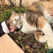 ヒメ日記 2025/03/25 09:28 投稿 もか 西船人妻花壇