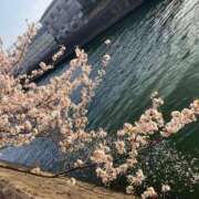 ヒメ日記 2025/04/10 12:23 投稿 もか 西船人妻花壇