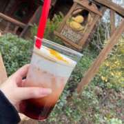 ヒメ日記 2025/04/16 15:54 投稿 もか 西船人妻花壇