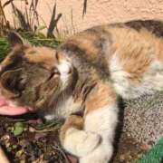 ヒメ日記 2025/04/24 14:44 投稿 もか 西船人妻花壇