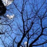 ヒメ日記 2025/06/01 19:48 投稿 もか 西船人妻花壇