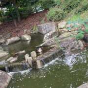 ヒメ日記 2025/07/07 22:07 投稿 もか 西船人妻花壇