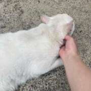 ヒメ日記 2025/09/21 15:47 投稿 もか 西船人妻花壇