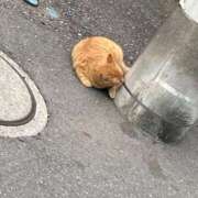 ヒメ日記 2026/02/26 17:13 投稿 もか 西船人妻花壇