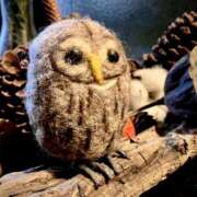 ヒメ日記 2024/12/28 08:37 投稿 みかさ 西船人妻花壇