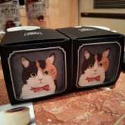 ヒメ日記 2025/04/15 21:58 投稿 みかさ 西船人妻花壇