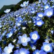 ヒメ日記 2025/05/05 22:47 投稿 みかさ 西船人妻花壇