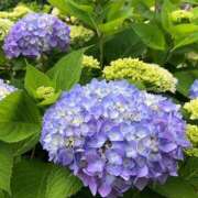 ヒメ日記 2025/06/30 15:18 投稿 みかさ 西船人妻花壇