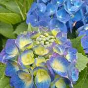 ヒメ日記 2025/07/05 19:38 投稿 みかさ 西船人妻花壇