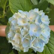 ヒメ日記 2025/07/08 18:34 投稿 みかさ 西船人妻花壇