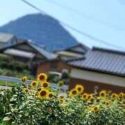 ヒメ日記 2025/08/23 19:49 投稿 みかさ 西船人妻花壇