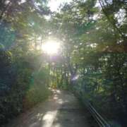 ヒメ日記 2025/09/06 23:49 投稿 みかさ 西船人妻花壇