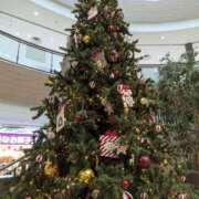 ヒメ日記 2025/11/20 19:26 投稿 みかさ 西船人妻花壇