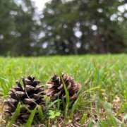 ヒメ日記 2025/11/28 16:27 投稿 みかさ 西船人妻花壇