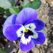 ヒメ日記 2026/02/10 21:26 投稿 みかさ 西船人妻花壇