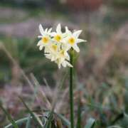 ヒメ日記 2026/03/20 20:53 投稿 みかさ 西船人妻花壇