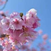 ヒメ日記 2026/03/29 10:57 投稿 みかさ 西船人妻花壇