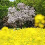 ヒメ日記 2026/04/20 22:13 投稿 みかさ 西船人妻花壇