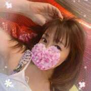 ヒメ日記 2025/09/17 22:24 投稿 ともか 西船人妻花壇