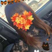 ヒメ日記 2025/10/11 10:13 投稿 ともか 西船人妻花壇