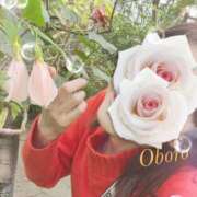 ヒメ日記 2024/12/25 15:32 投稿 おぼろ 西船人妻花壇