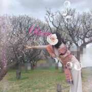 ヒメ日記 2024/12/28 00:32 投稿 おぼろ 西船人妻花壇