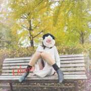 ヒメ日記 2025/02/12 20:31 投稿 おぼろ 西船人妻花壇