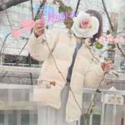 ヒメ日記 2025/02/24 22:38 投稿 おぼろ 西船人妻花壇