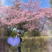 ヒメ日記 2025/03/03 13:01 投稿 おぼろ 西船人妻花壇