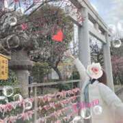 ヒメ日記 2025/03/06 23:53 投稿 おぼろ 西船人妻花壇