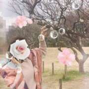 ヒメ日記 2025/03/09 18:18 投稿 おぼろ 西船人妻花壇