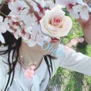 ヒメ日記 2025/03/11 22:31 投稿 おぼろ 西船人妻花壇