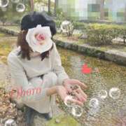 ヒメ日記 2025/03/12 08:45 投稿 おぼろ 西船人妻花壇