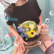 ヒメ日記 2025/03/22 11:46 投稿 おぼろ 西船人妻花壇