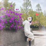 ヒメ日記 2025/03/29 08:31 投稿 おぼろ 西船人妻花壇