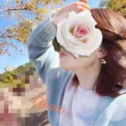 ヒメ日記 2025/04/16 10:02 投稿 おぼろ 西船人妻花壇