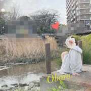 ヒメ日記 2025/04/18 23:15 投稿 おぼろ 西船人妻花壇