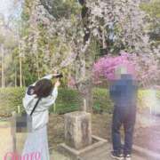 ヒメ日記 2025/04/19 16:05 投稿 おぼろ 西船人妻花壇