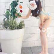 ヒメ日記 2025/04/26 12:46 投稿 おぼろ 西船人妻花壇