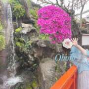 ヒメ日記 2025/05/06 22:07 投稿 おぼろ 西船人妻花壇