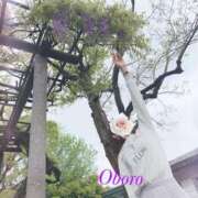 ヒメ日記 2025/05/07 23:17 投稿 おぼろ 西船人妻花壇