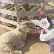 ヒメ日記 2025/05/24 20:46 投稿 おぼろ 西船人妻花壇