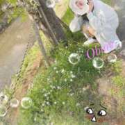 ヒメ日記 2025/05/29 06:45 投稿 おぼろ 西船人妻花壇